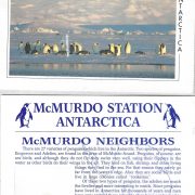 1994 McMurdo Penguins